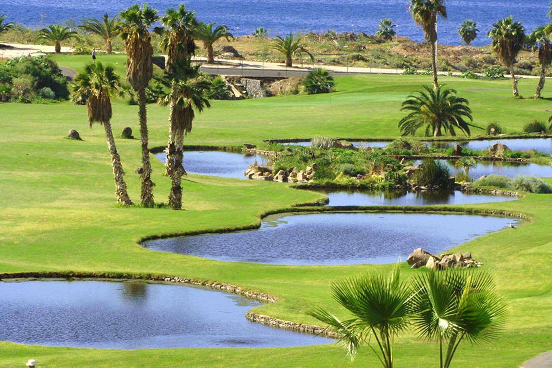Tenerife Luxury Apartment Costa Adeje Buitenkant foto